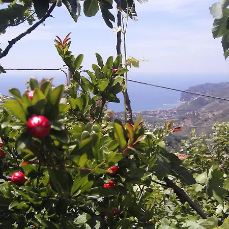 Oda ve Kahvaltı Cilento