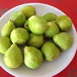 Alojamento de Acomodação e Pequeno-almoço Cilento San Mauro Cilento