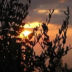 Cilento