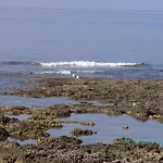 Alojamento de Acomodação e Pequeno-almoço Cilento