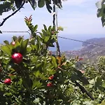 Alojamento de Acomodação e Pequeno-almoço Cilento