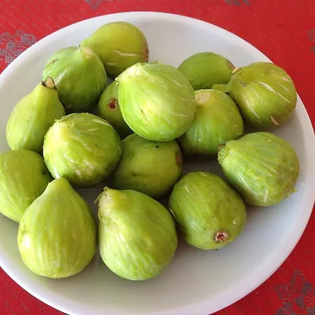 Alojamento de Acomodação e Pequeno-almoço Cilento San Mauro Cilento
