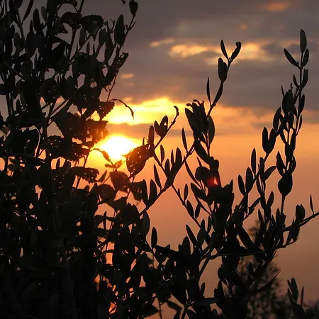Cilento