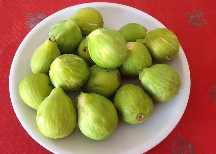 Bed and breakfast Cilento San Mauro Cilento